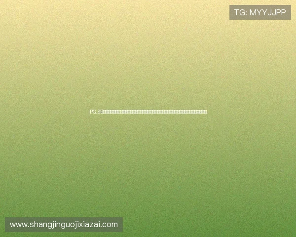 PG.SB电子游戏试玩网站结合世界杯热点，推出深度体育报道与赛事分析，助力用户全面了解比赛情况